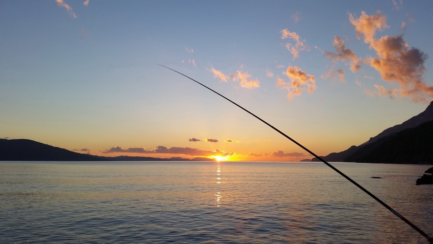 Discover Nature — Fishing  MISSOURI DEPARTMENT OF CONSERVATION