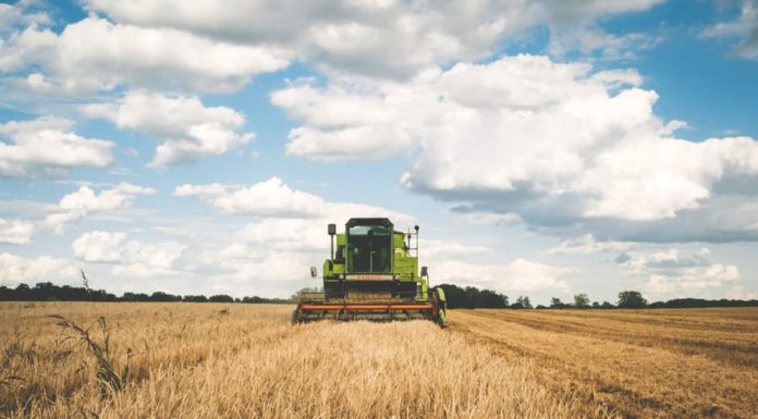 Missouri farmers cast doubt over limited US-China trade deal