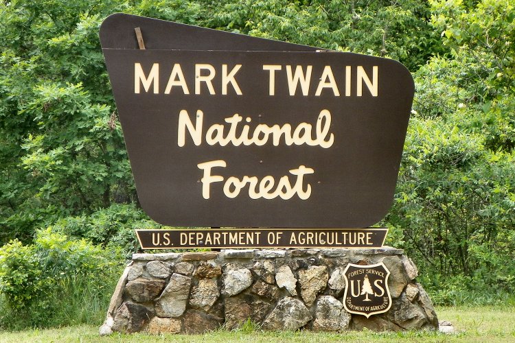 are dogs allowed at mark twain national forest