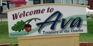 Ava approves one year data center pause