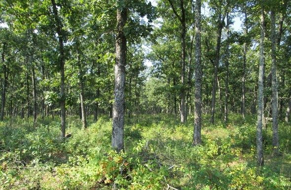 MDC hosting free hiking, backpacking program at Gist Ranch