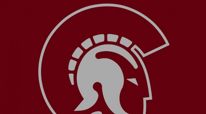 Johnson lifts UALR over Texas St. 72-68