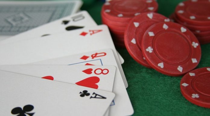 Casino event to benefit animal shelter