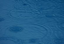 Drought Conditions Still Present but Improving Amidst May Rains