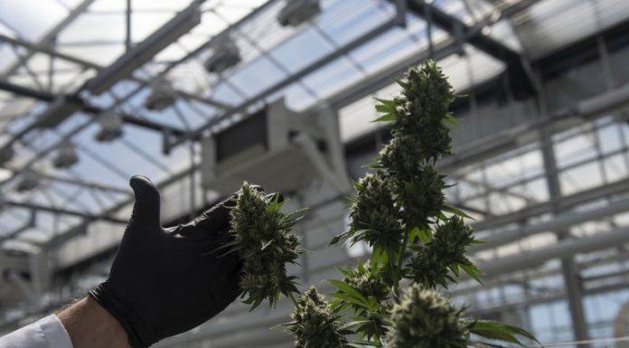 Medical pot group asks Missouri officials to regulate vaping