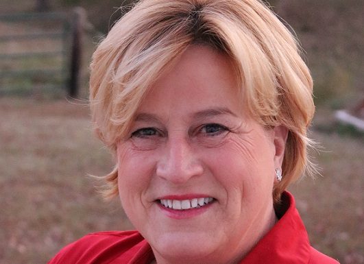 Eslinger holds town hall in West Plains