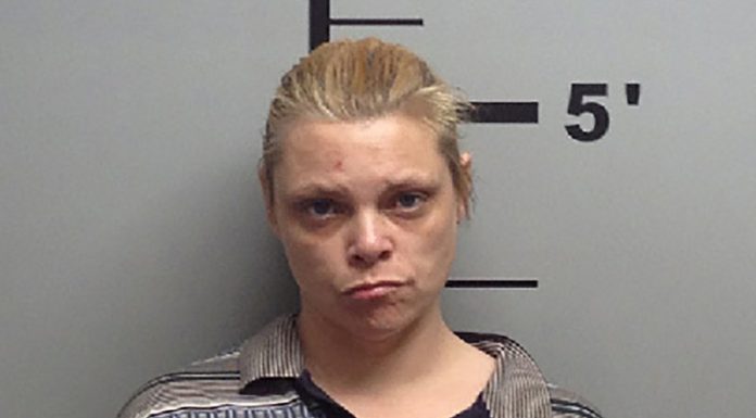 Arkansas woman gets 40 years in prison in plot to kill judge