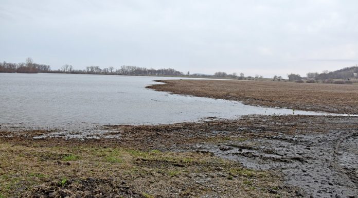 Experts work to mitigate effects of extreme weather on MO farms