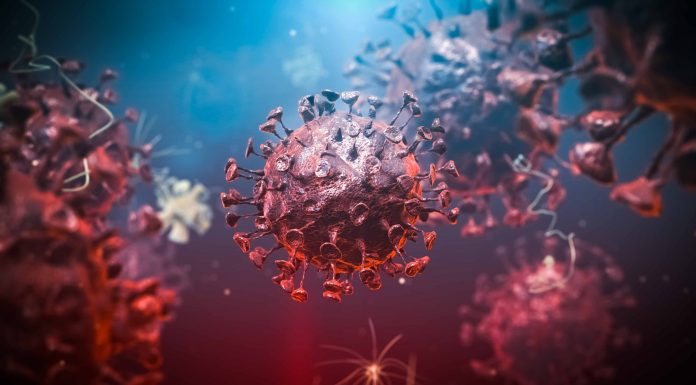 Health department recommends quarantine