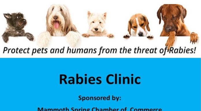 Mammoth Spring rabies clinic set