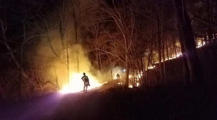 Ozark Riverways asks for assistance to prevent arson