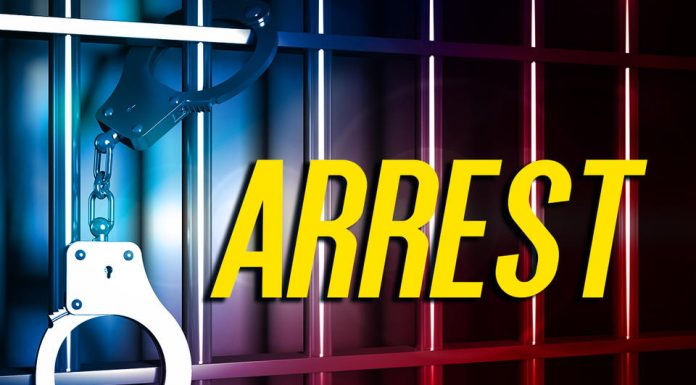 W.P.: Burglary suspects arrested