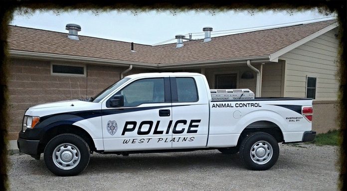 W.P. Animal Control warns not to leave pets in hot cars