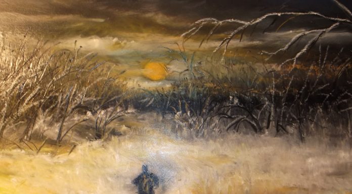 WPCA, OzSBI to host local art display