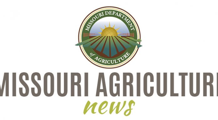 Missouri Agricultural and Small Business Development Authority accepting applications for rural small business improvement