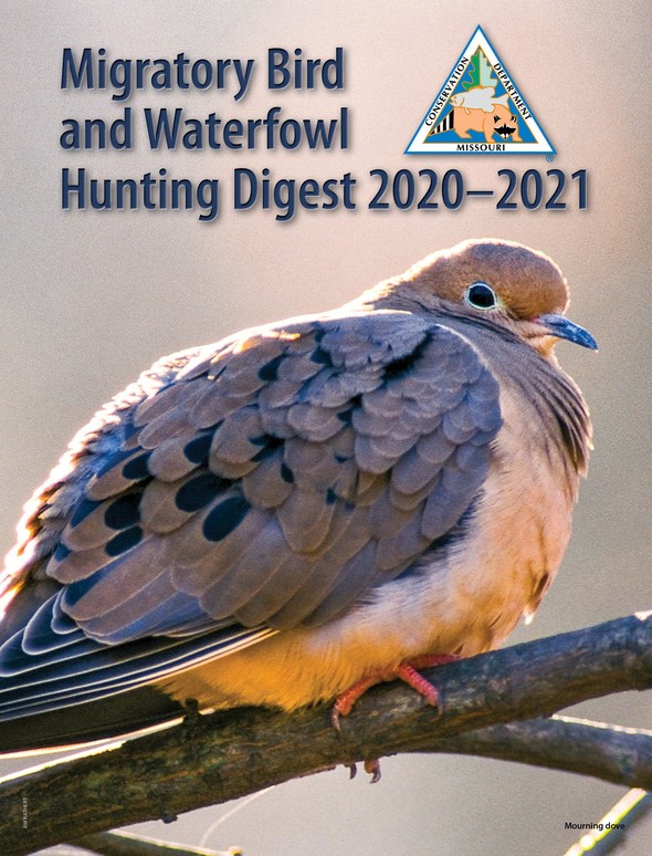 New MDC migratory bird, waterfowl hunting digest now available Ozark
