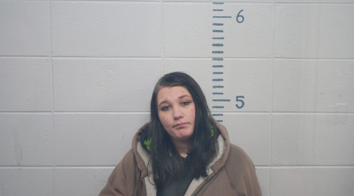 Howell County Most Wanted Sept. 30: Felicia M Butler