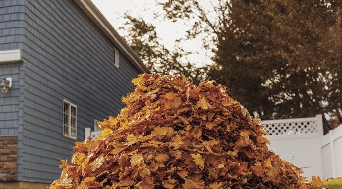 Compost Site at West Plains Solid Waste Transfer Station open 7 days a week in November