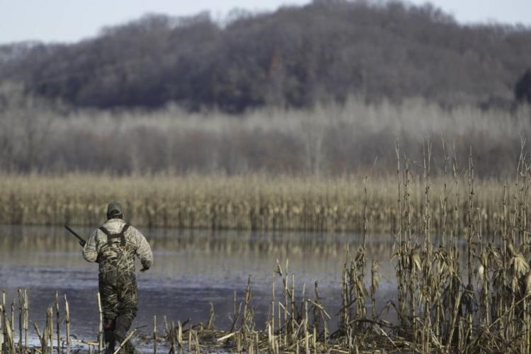 MDC Managed Waterfowl Hunts Going to COVID Level Red Starting Wednesday