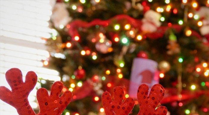 Drop off Christmas lights for recycling at Willow Springs City Hall