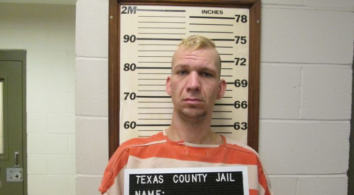 Wanted sex offender arrested in Texas Co.