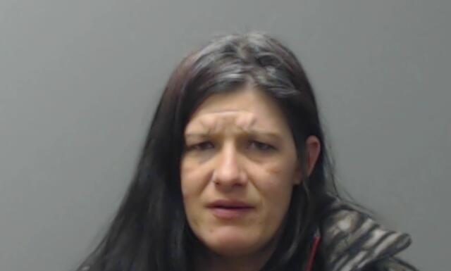 Arrest made on warrants and drug offenses in Baxter County