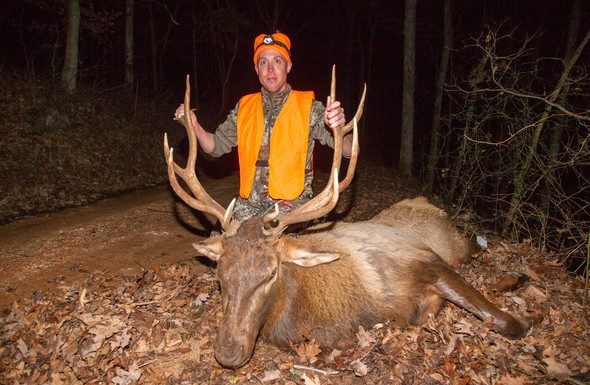MDC offering 5 permits for 2021 elk-hunting season