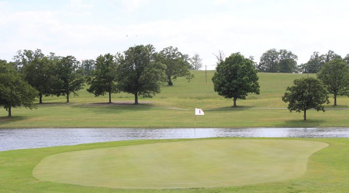 Free Golf Fridays at North Terra Golf Course