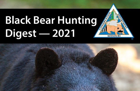MDC offering permit applications during May for fall bear hunting