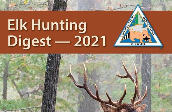 Apply during May for MDC fall elk-hunting permits