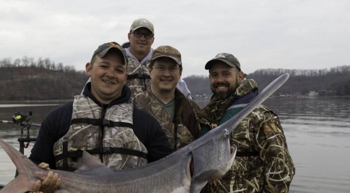 MDC sets public comment period for potential paddlefish regulation changes