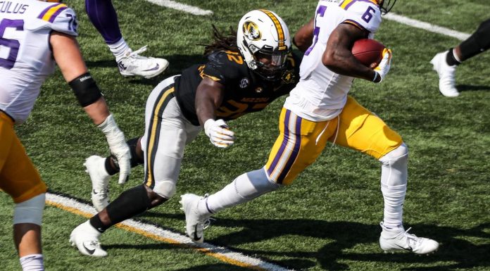 Bolton Earns Second-Team Academic All-America Honors