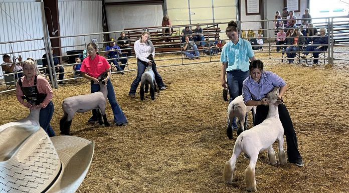 Past Heart of the Ozarks Fair Participants Needed for MU Survey
