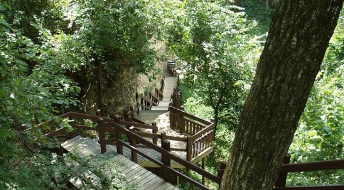 Grand Gulf State Park hosts public information meeting Sept. 11
