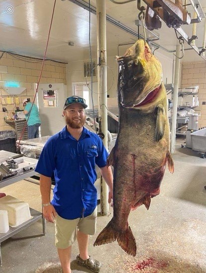 Matt Neuling Record Bighead Carp