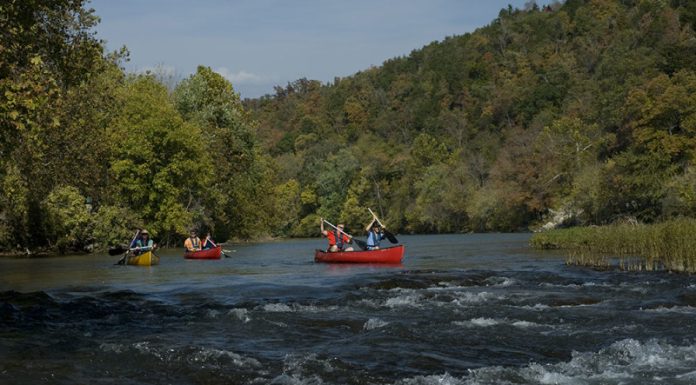 Missouri Stream Team