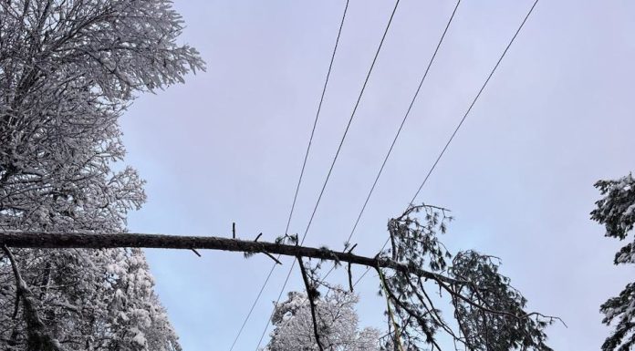 Howell Oregon Electric Cooperative Releases Announcement on Power Issues, Requests Help