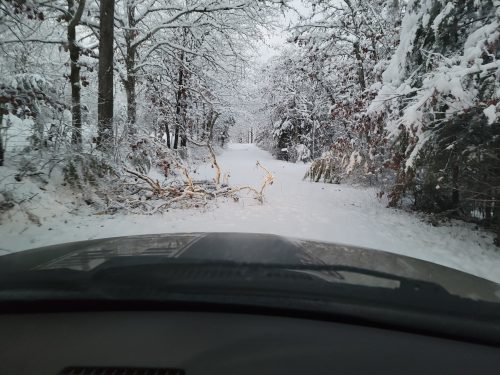 howell-oregon-electric-announces-over-13-000-members-powerless-after