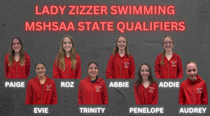 Lady Zizzer Swimmers