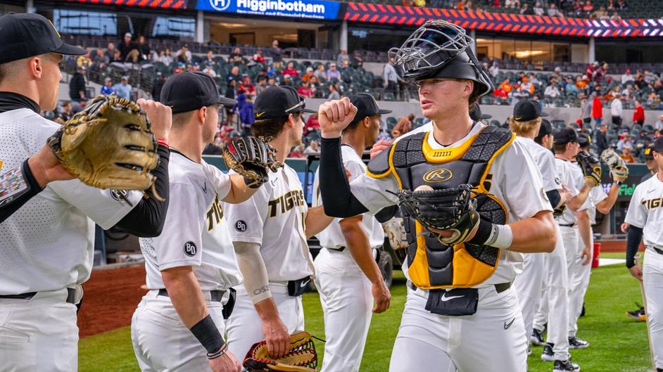 Purina Pooches in the Ballpark returns