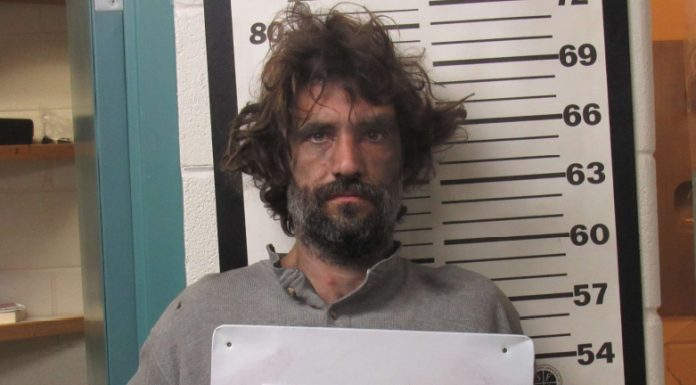 Ozark County SO Arrests Dora Man on Statutory Sodomy Case