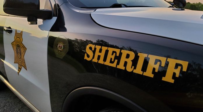 Howell County Sheriff’s Office Reports for March 20, 2023