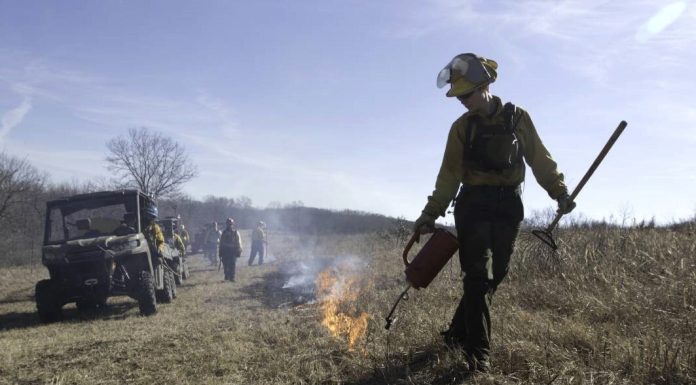 Learn about prescribed fire at Dec. 9 MDC workshop in Howell County