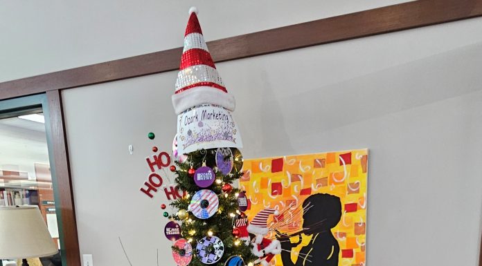 West Plains Arts Alliance Update with Terry Hampton 11-21-23