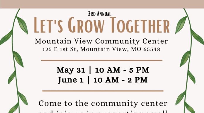 Mountain View’s “Let’s Grow Together Festival” Happening Today