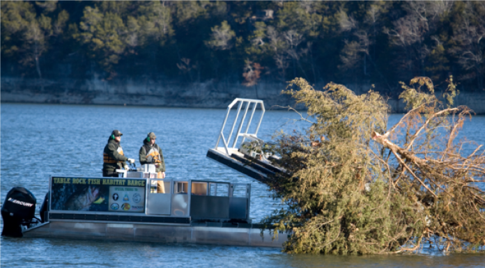 MDC Works With Partners To Improve Fish Habitat