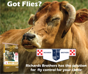 Richards Brothers – Fly Control