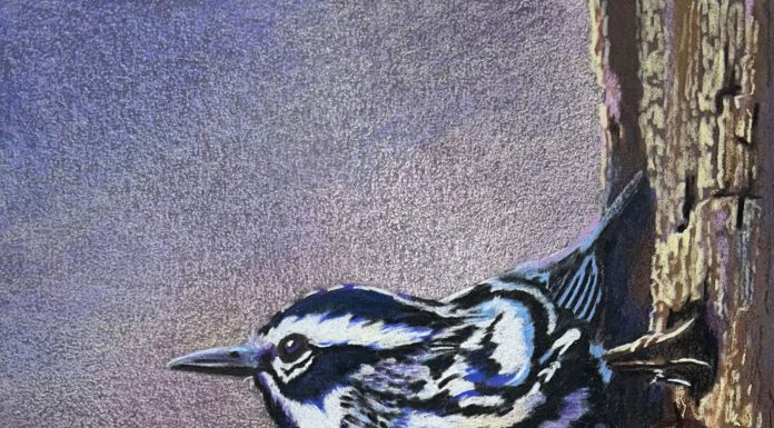 OzSBI Art Display to Rotate, Featuring Lee Copen
