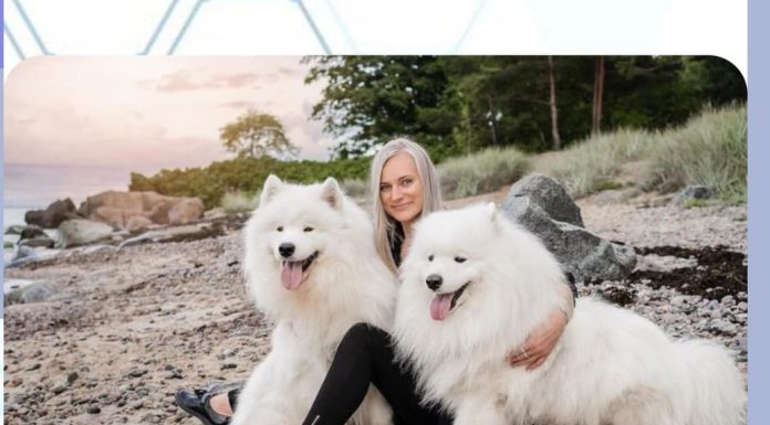 Dog Breeder Scam in Willow Springs