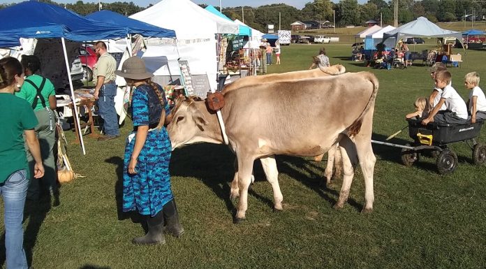 Ava Pioneer Heritage Festival Begins Tomorrow